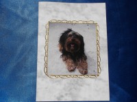 /album/cartes-3d-animaux/dscf0440-jpg/