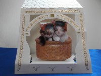 /album/cartes-3d-animaux/dscf0467-jpg/
