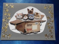 /album/cartes-3d-animaux/dscf0464-jpg/