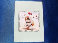 /album/cartes-3d-animaux/dscf0466-jpg/