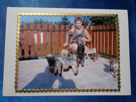 Dame accroupie avec ses chiens - Prix 3,25 euros