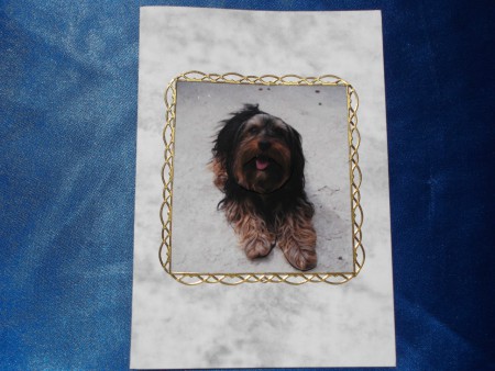 Yorkshire de près - Prix : 3,25 euros